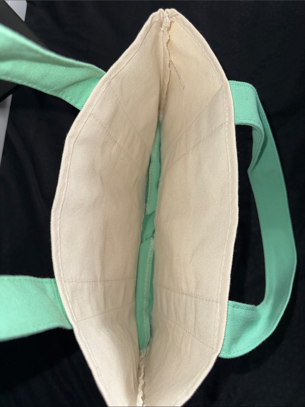 Mint Green & Cream Canvas Tote Bag - Picture 3 of 3